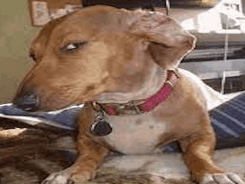 Account Disabled Image